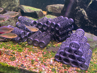 Shrimp Aquarium Shelter