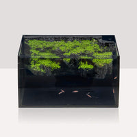 Horizon 8 Gallon LED Glass Aquarium Starter Kit - Curved Tank with 3D Background