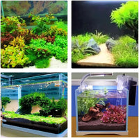 Aquascaping Tools 5 in 1 Kit - Stainless Steel Aquarium Plant Tools Set