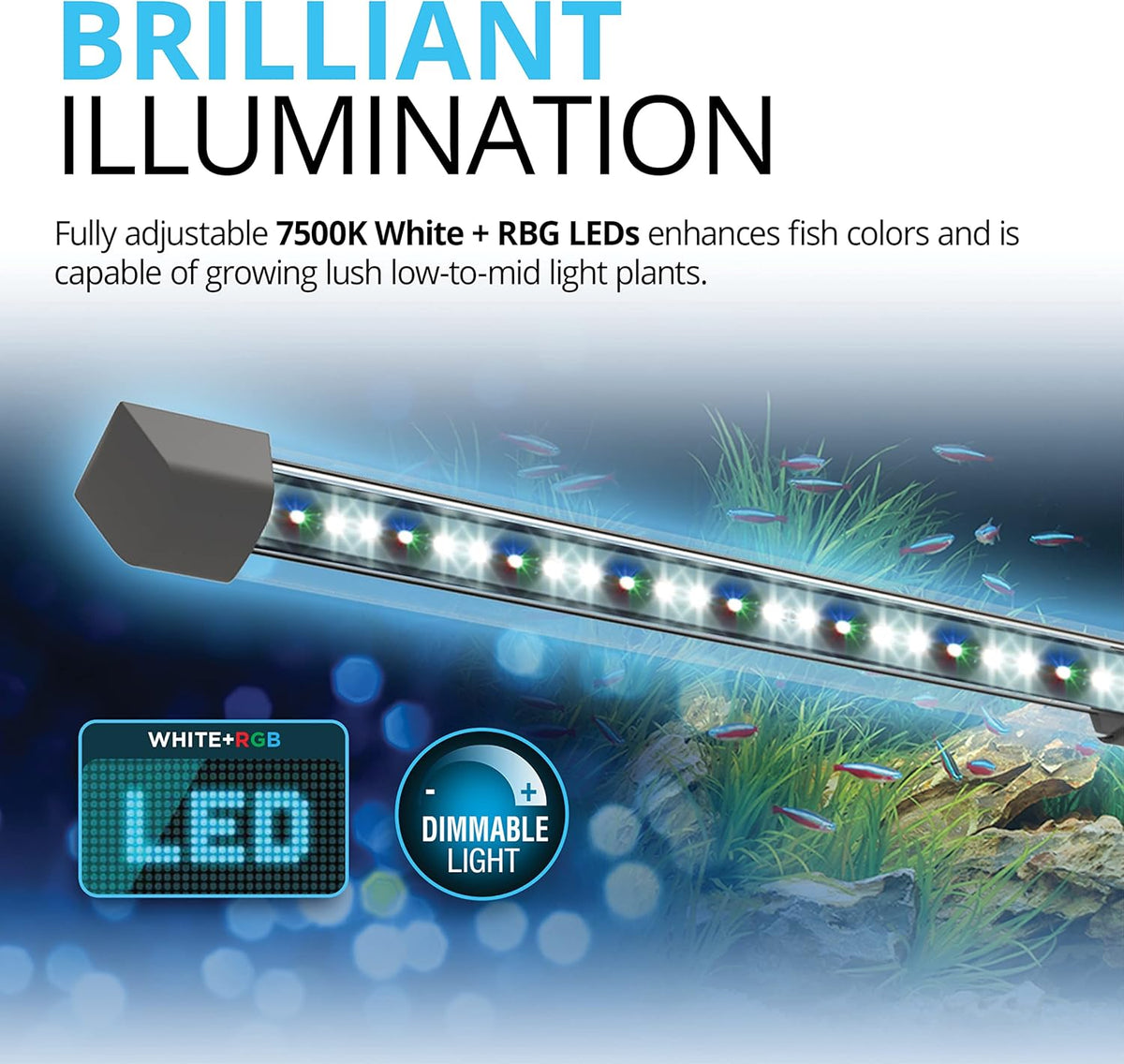 Flex 57 - 15 Gallon Glass Aquarium Kit - Contemporary Design with RGB LED