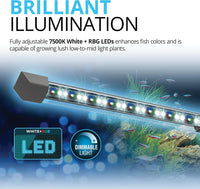 Flex 57 - 15 Gallon Glass Aquarium Kit - Contemporary Design with RGB LED