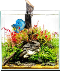 UNS Ultra Clear Rimless Cube Aquarium - Low Iron Glass Fish Tank