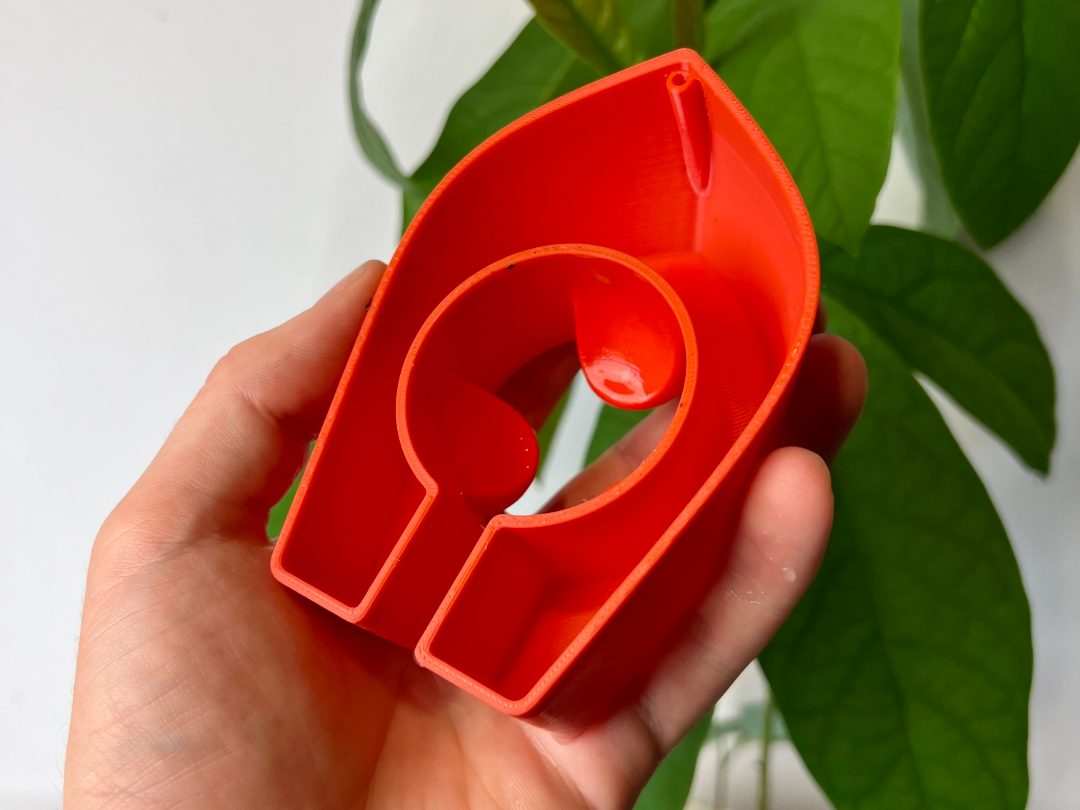 Avocado Grow Boats for Sprouting Avocado Trees at Home