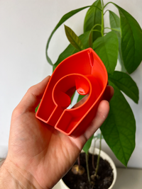 Avocado Grow Boats for Sprouting Avocado Trees at Home