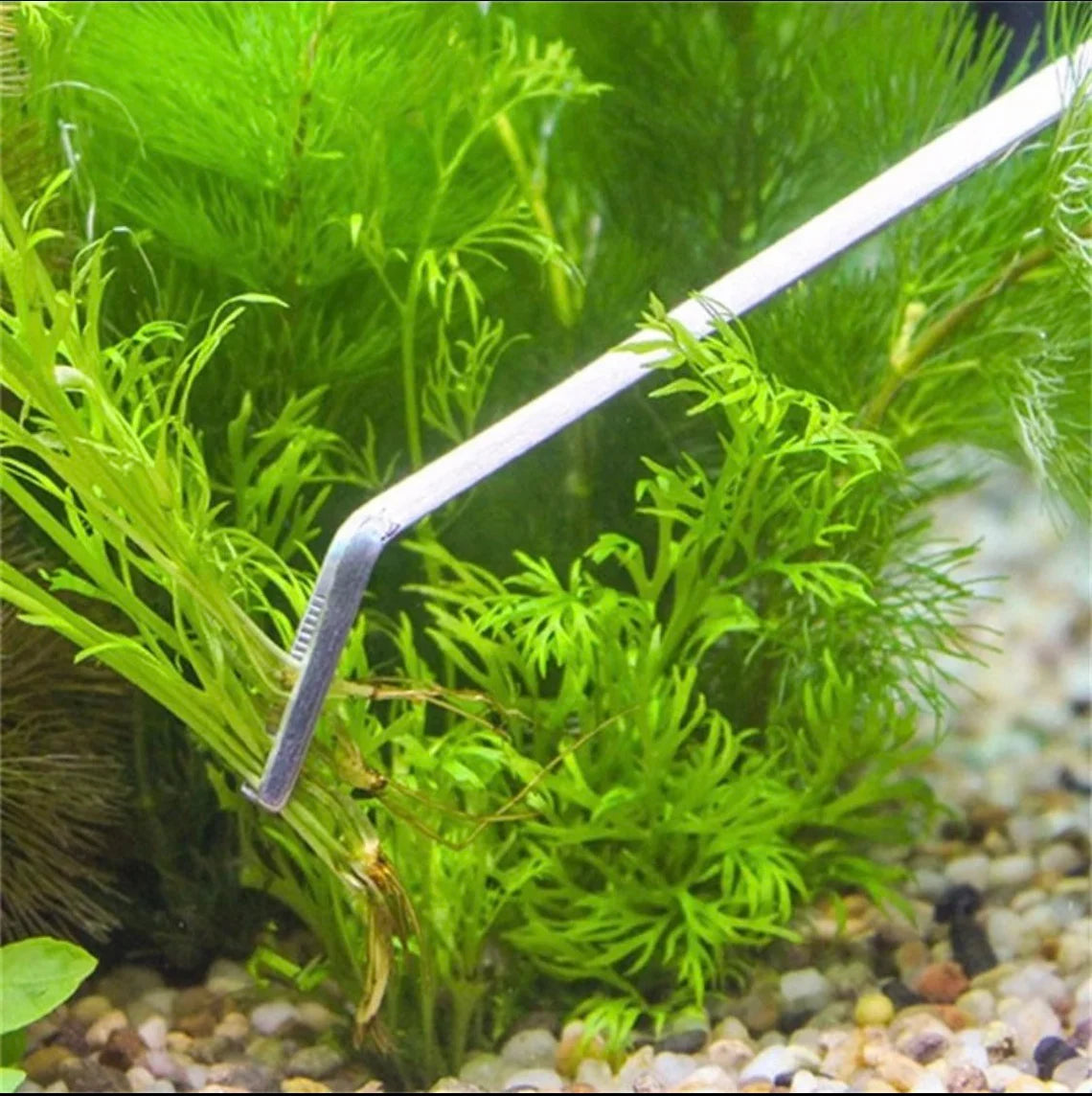 Aquascaping Tools 5 in 1 Kit - Stainless Steel Aquarium Plant Tools Set