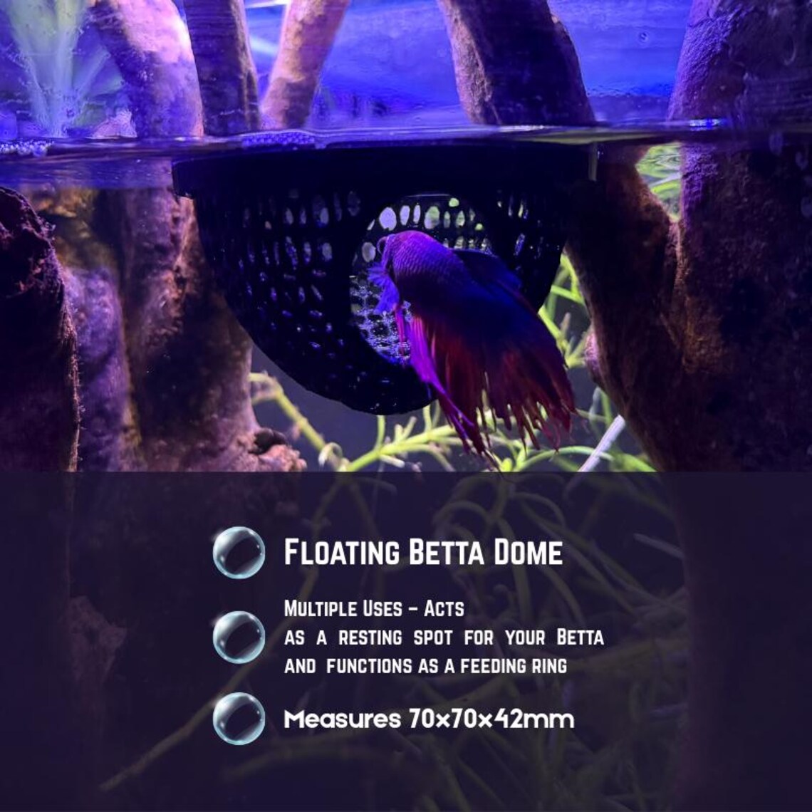 Floating Dome For Betta Fish Aquarium