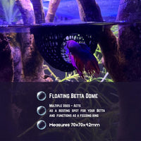 Floating Dome For Betta Fish Aquarium