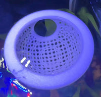 Floating Dome For Betta Fish Aquarium