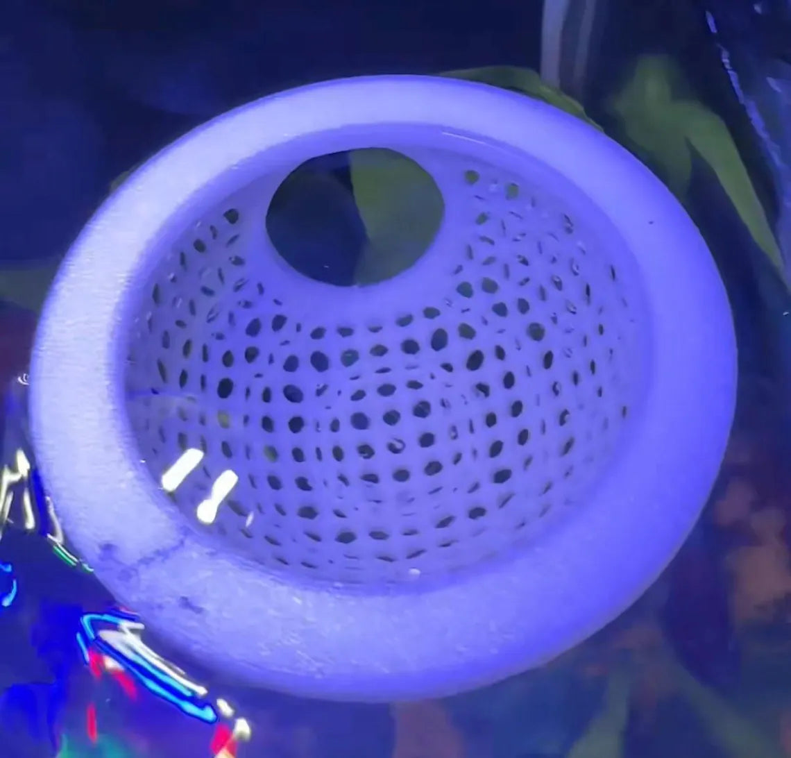 Floating Dome For Betta Fish Aquarium