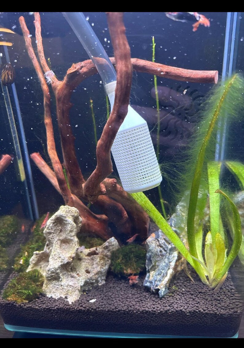 Siphon Guard for Fish Aquarium