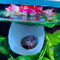 Betta Fish Floating Hideout