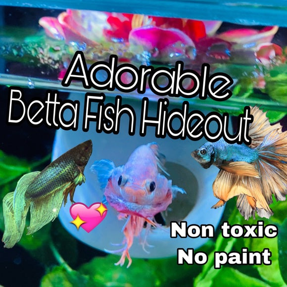 Betta Fish Floating Hideout