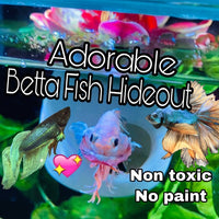 Betta Fish Floating Hideout