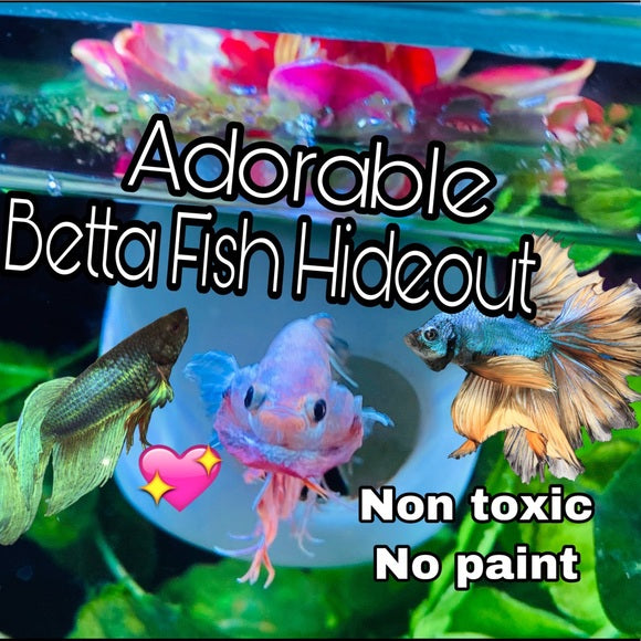 Betta Fish Floating Hideout