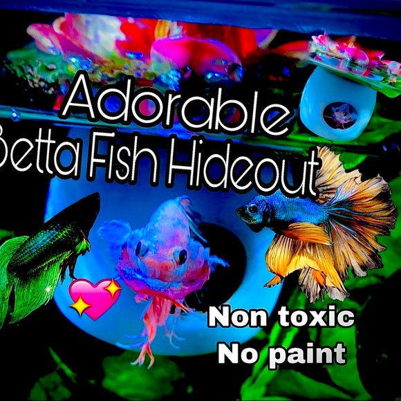 Betta Fish Floating Hideout
