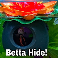 Betta Comfort Bundle - FisheFairy