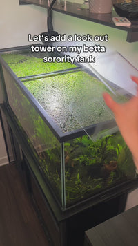 Aquarium Fish Tank Tower